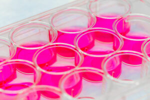 Innovations in Stem Cell Therapy